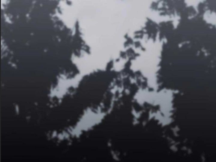 ám sát tuyển thủ học viện chapter 24 310