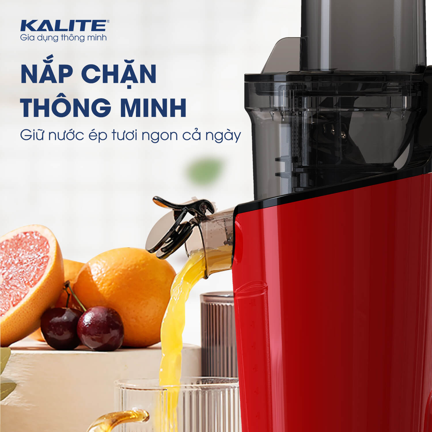 Máy Ép Trái Cây, Máy Ép Chậm Mini KALITE KSJ4414 Tiêu Chuẩn Châu Âu Dung Tích 400 ML Công Suất 200 W - Hàng Chính Hãng