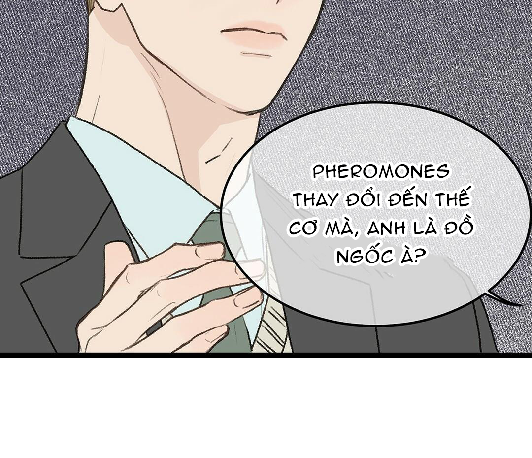 vùng cấm tình yêu của beta chapter 29 26