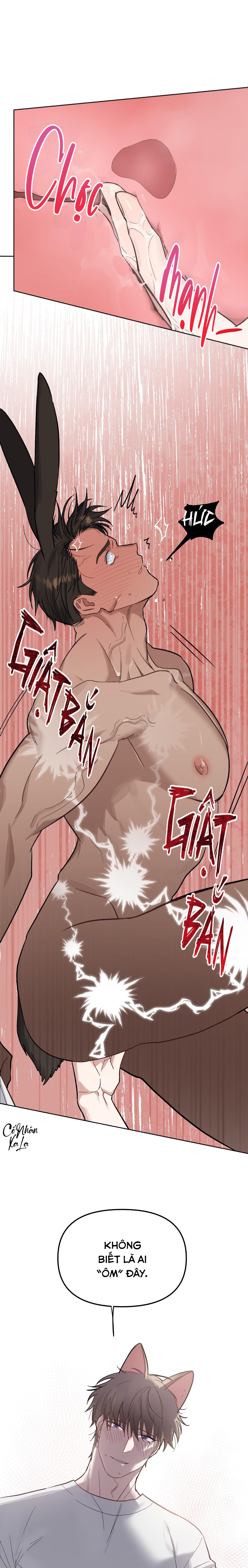 3 giây thỏ "nhỏ" đã xuất tinh rồi chapter 4 10