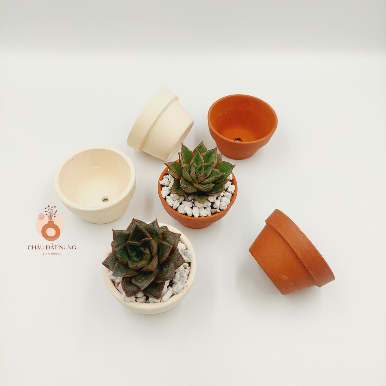 Chậu đất nung, chậu sen đá, xương rồng - Ly gờ 74, miệng chậu 7cm, chiều cao 4cm