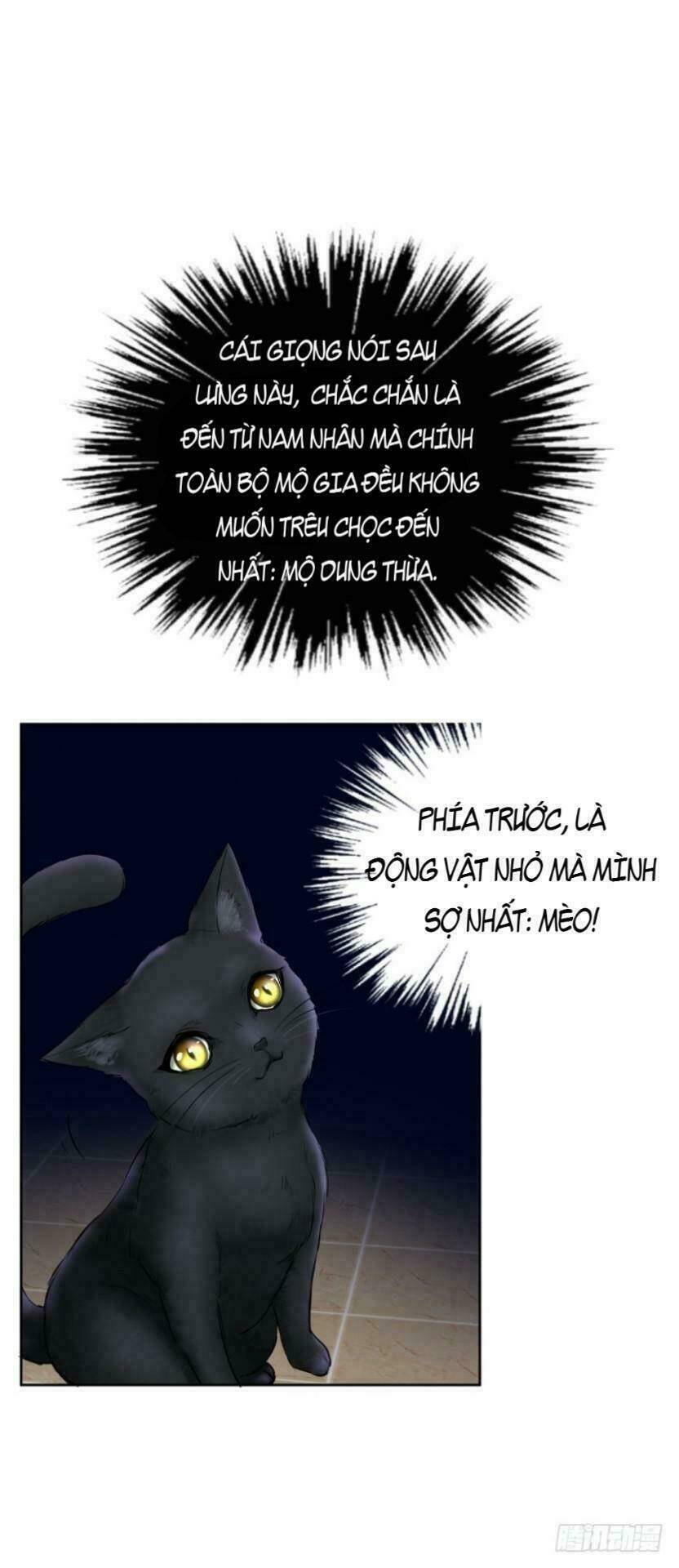 mộ thiếu, lão bà ngươi trọng sinh lại rồi! chapter 15 12