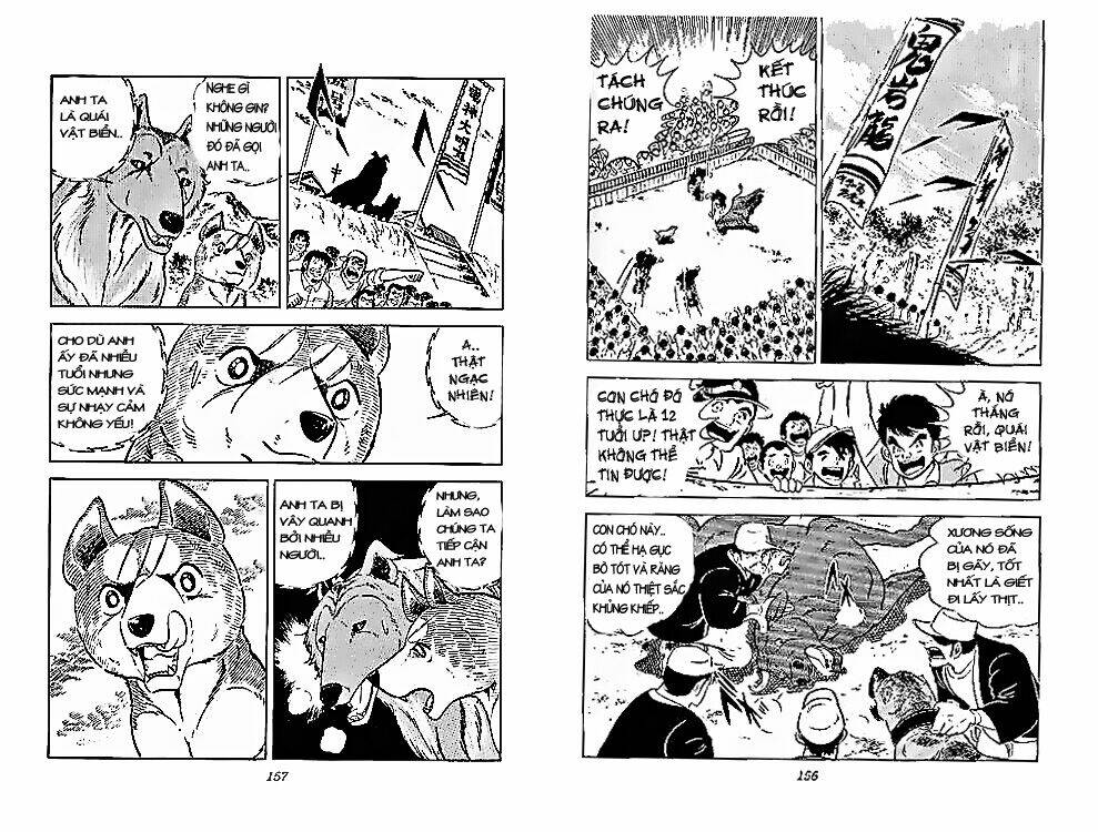 chú chó có nghĩa - ginga nagareboshi gin chapter 28 17