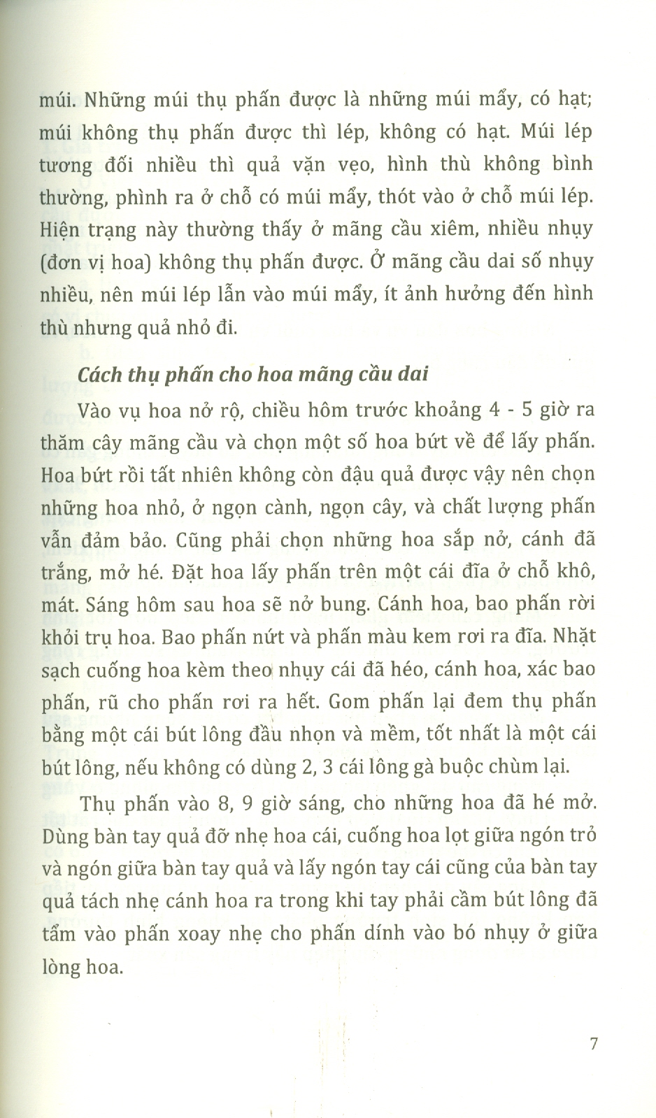 Kỹ Thuật Trồng, Chăm Sóc Cho Năng Suất Cao MÃNG CẦU, NHÃN, XOÀI