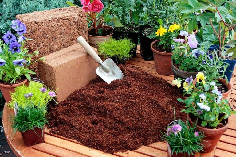 Đất nén hữu cơ dạng viên xơ dừa dinh dưỡng diệt trùng diệt khuẩn kháng bệnh tốt cho tất cả các loại cây