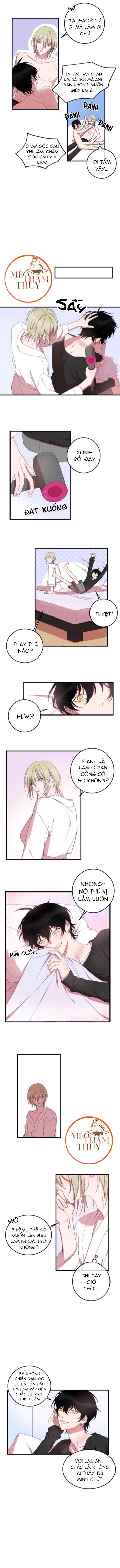 khẩu vị và sự tôn thờ của người yêu tôi chapter 8 5