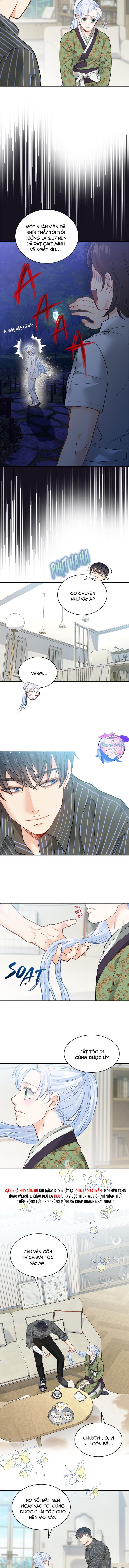 hôn nhân bị đánh cắp của hồ ly chapter 40 4