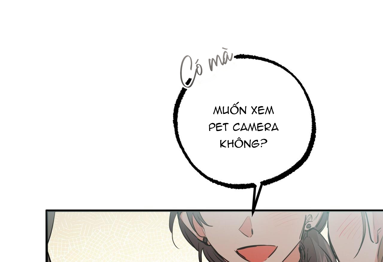 đàn thỏ của habibi chapter 28 112