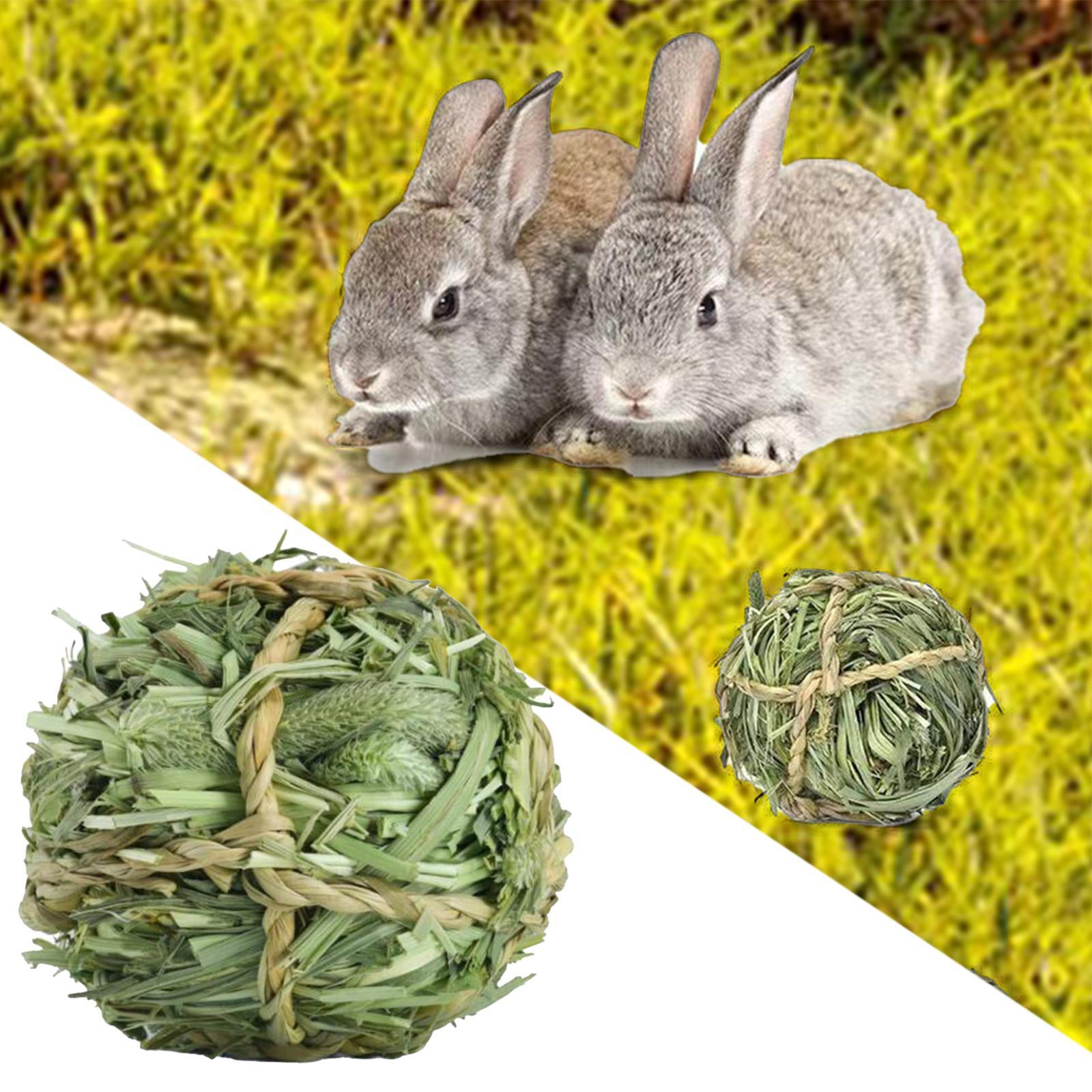 Rabbit Chew Toys Bite Grind Ball Small Animals Molar Toys for Gerbils Bunny
