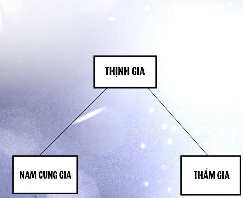 chiến lược lãng mạn của thịnh thiếu chapter 72 28