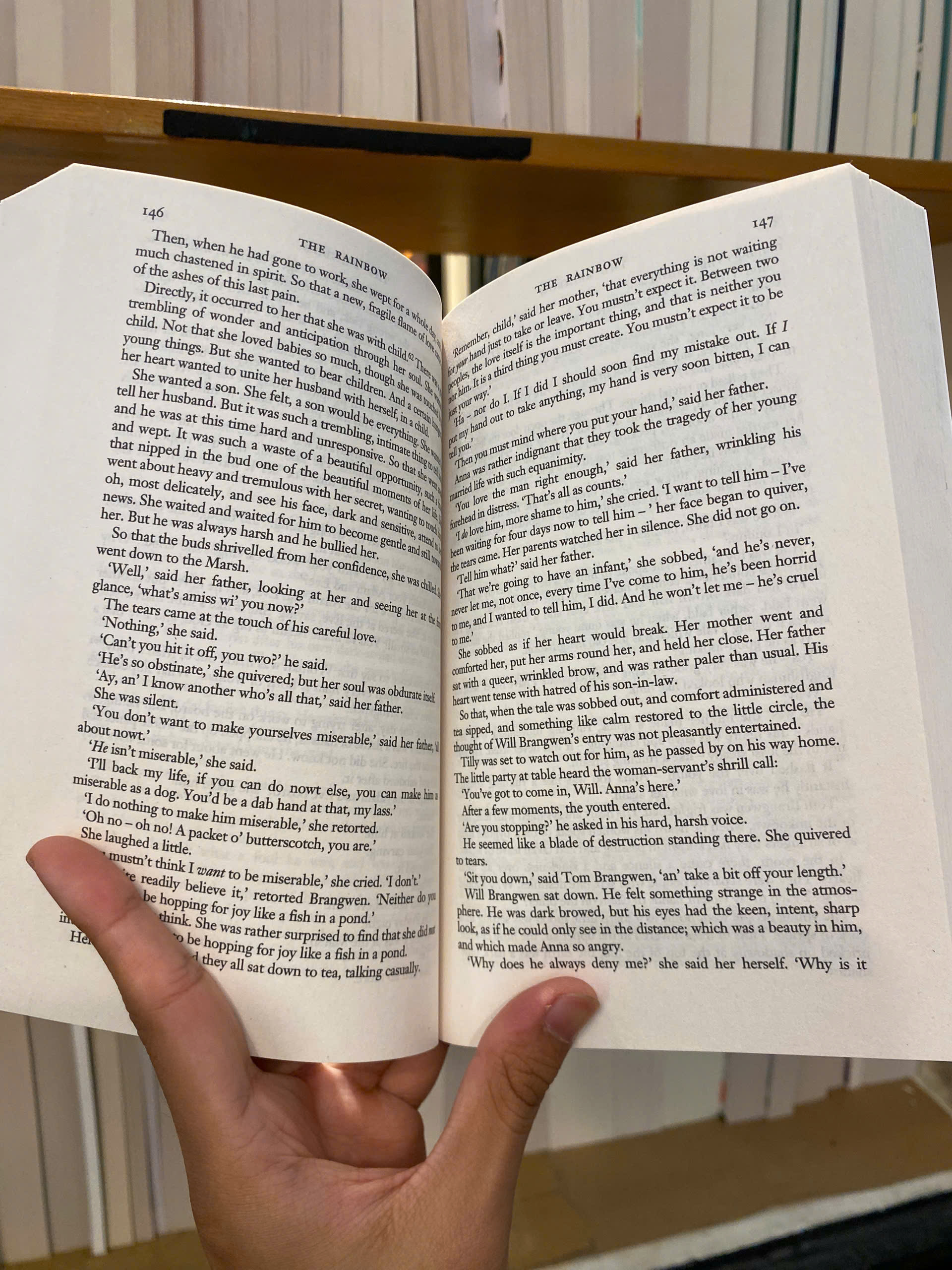 Sách - The Rainbow by D.H. Lawrence | Classic Literature / Ngoại văn Kinh điển Nhập khẩu