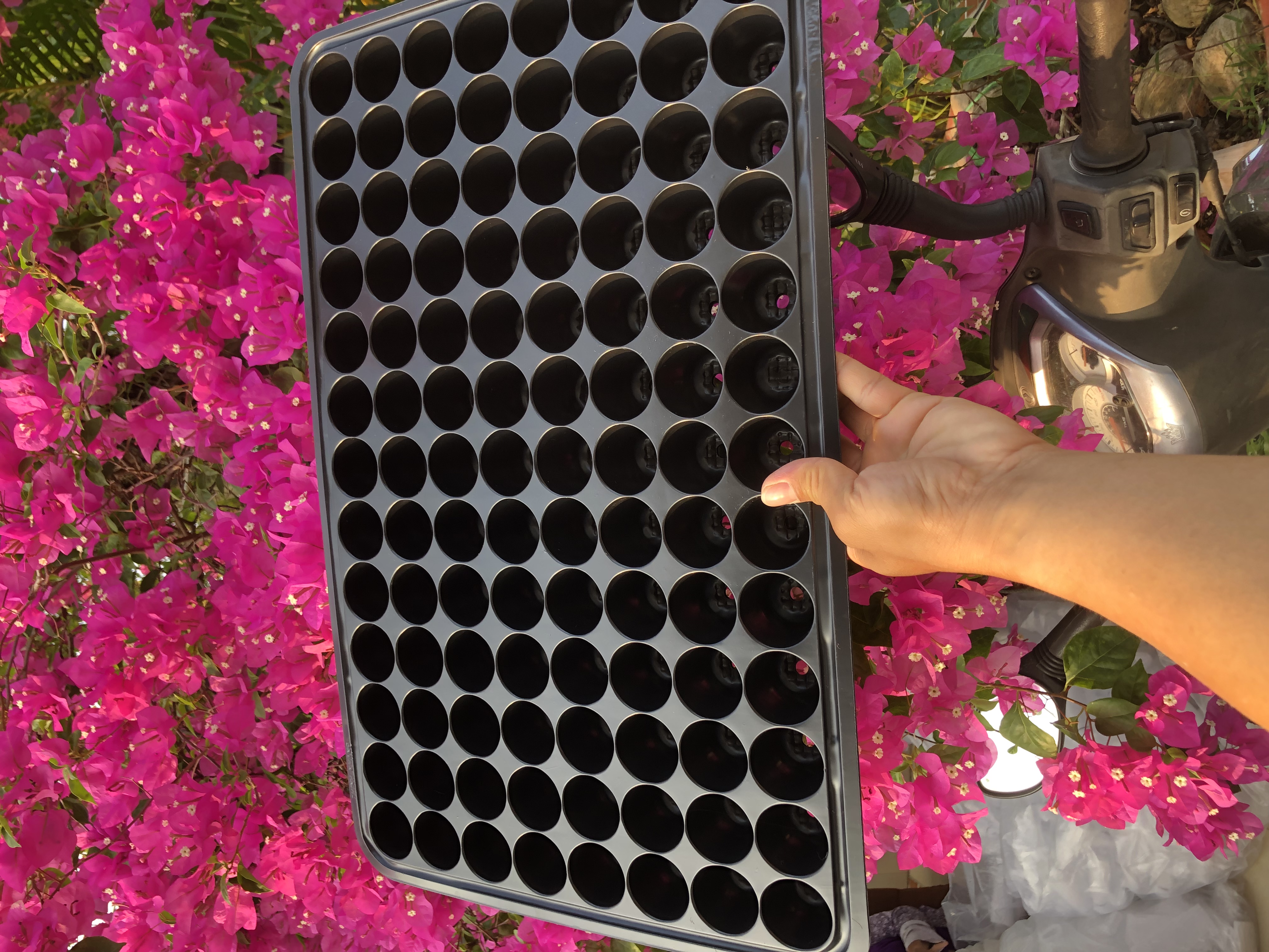1 cái khay ươm hạt giốp 104 lỗ