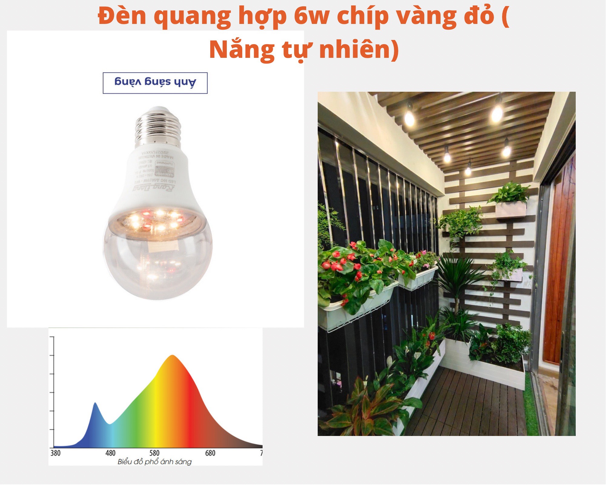 Đèn quang hợp, đèn trồng cây trong nhà 6W, chiếu sáng quang hợp cho cây xanh, trầu bà, lan chi, lộc phát, sen đá, Chính hãng Rạng Đông