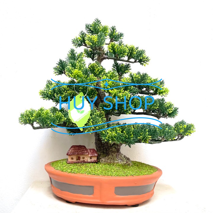 Chậu TÙNG KIM nhân tạo để bàn  trang trí nhà cửa