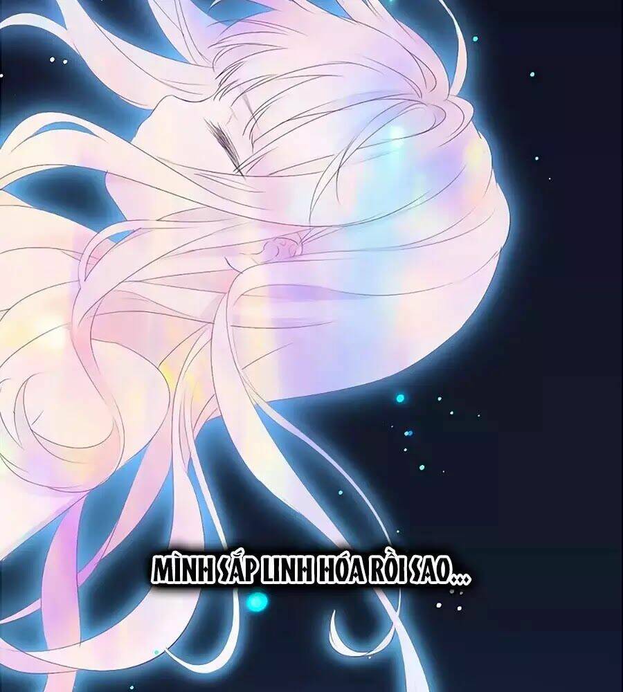 kiều nhi không nghe lời chapter 6 54