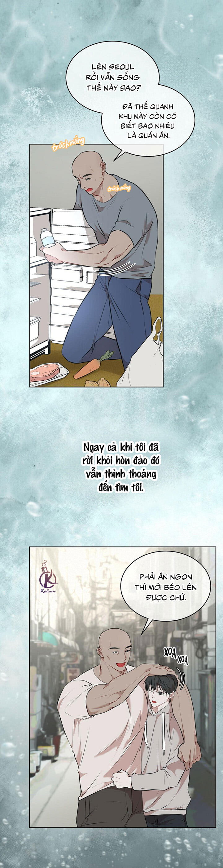 hình thái khởi sinh chapter 24 10