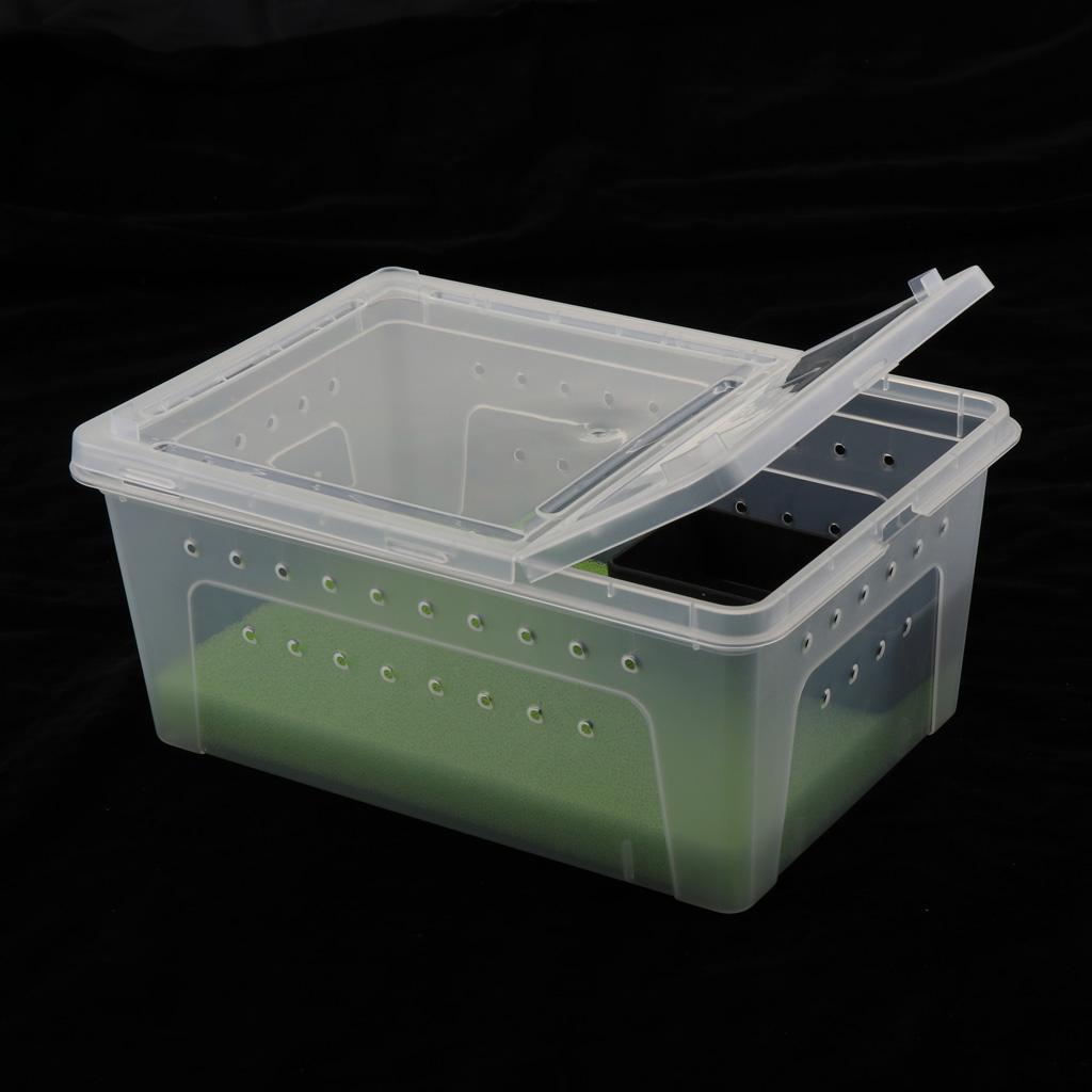 Reptile Amphibian Habitat Terrarium Vivarium Breeding Box