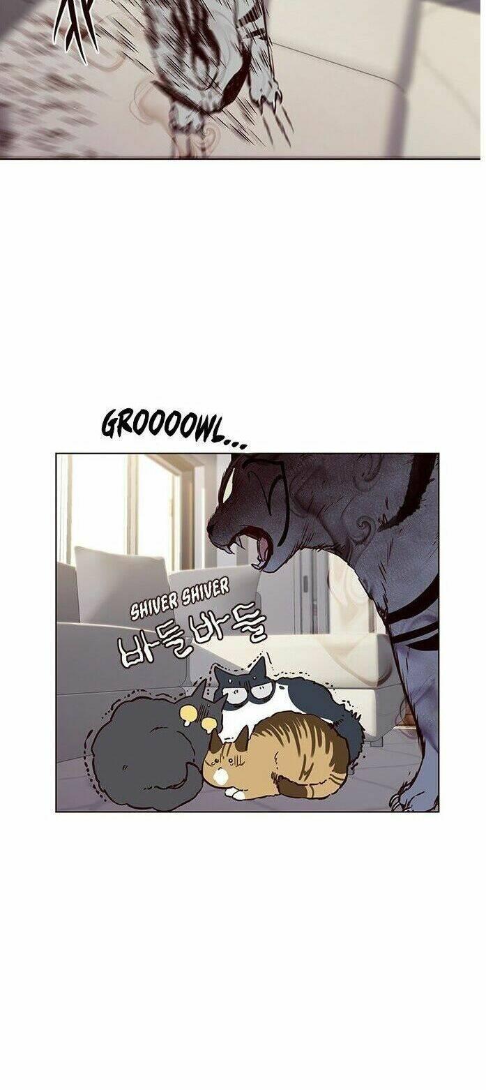 biến thân thành mèo chapter 7 41