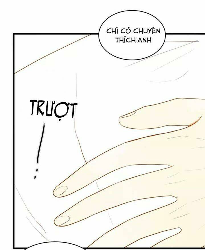 điều giáo quan hệ chapter 28 11