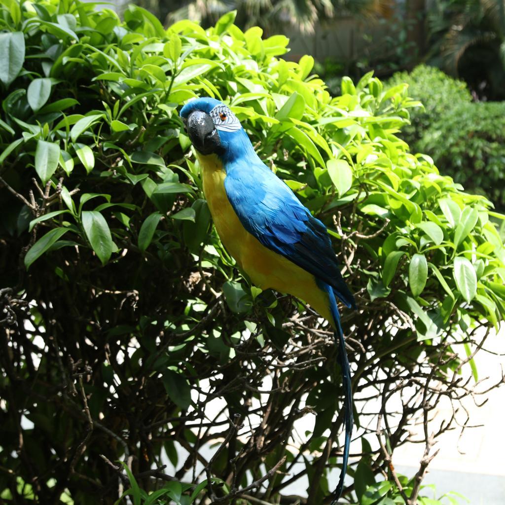 Colorful Bird Feather Realistic Home Garden Decor Ornament Parrot