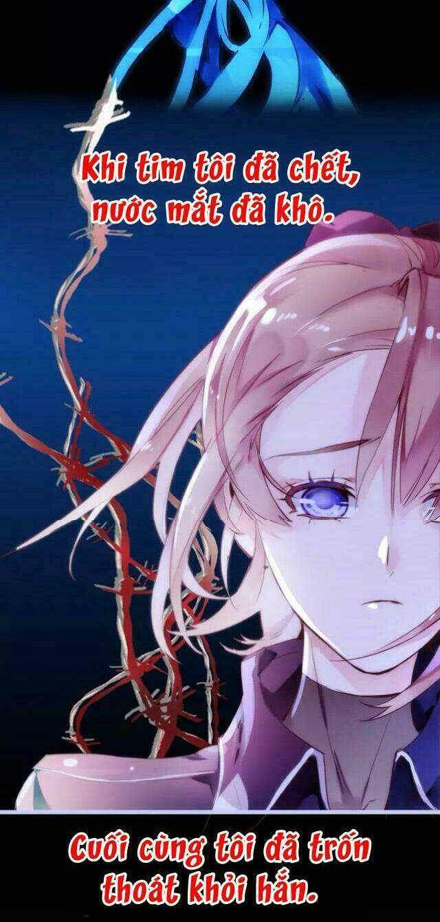 hoa hồng trên gai chapter 1 12