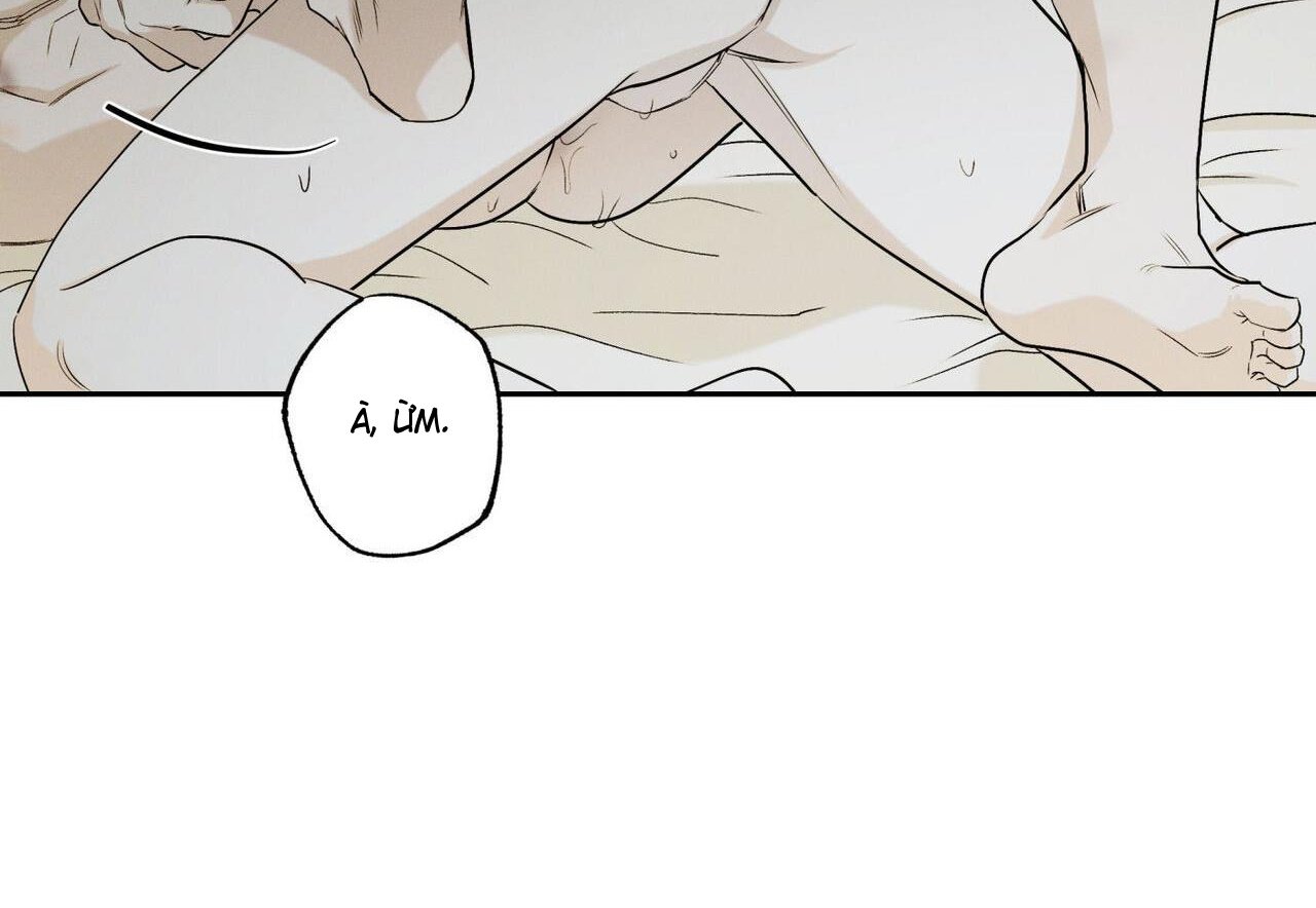 chàng giao pizza và gold palace chapter 48 36