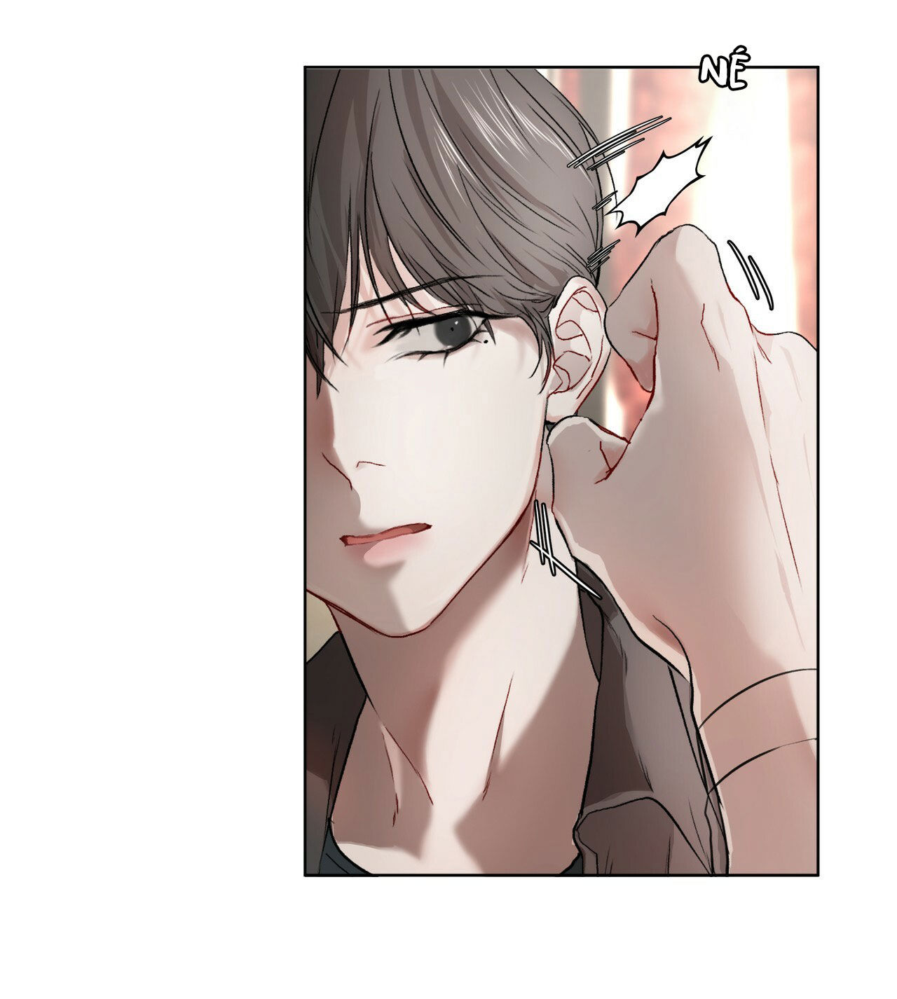 the origin of species chapter 4 16