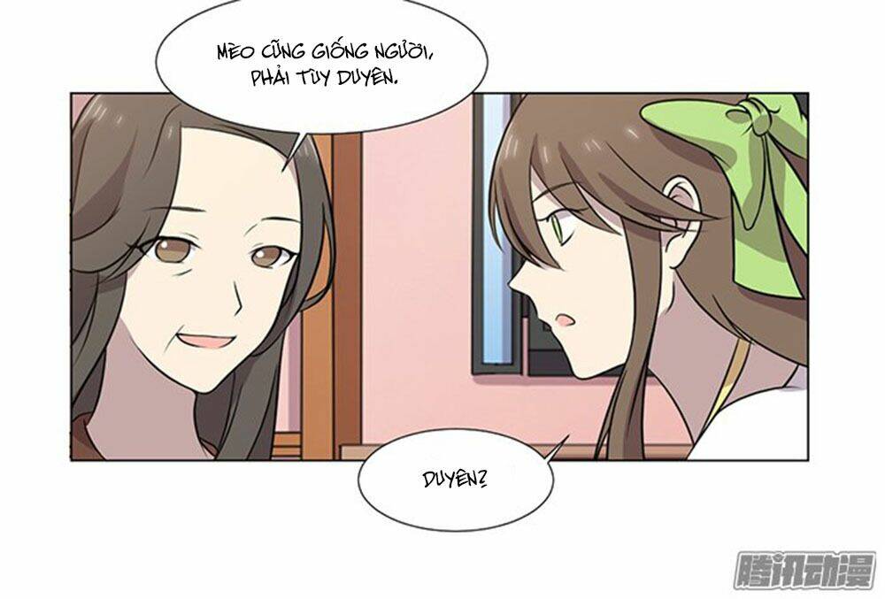 hai chú mèo totem chapter 39 50