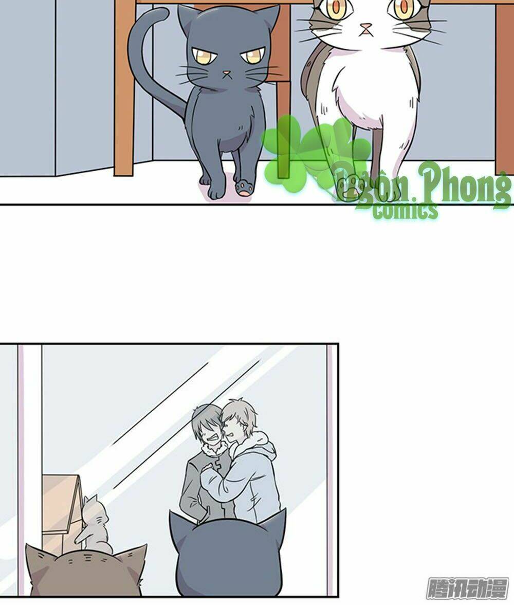 hai chú mèo totem chapter 22 7