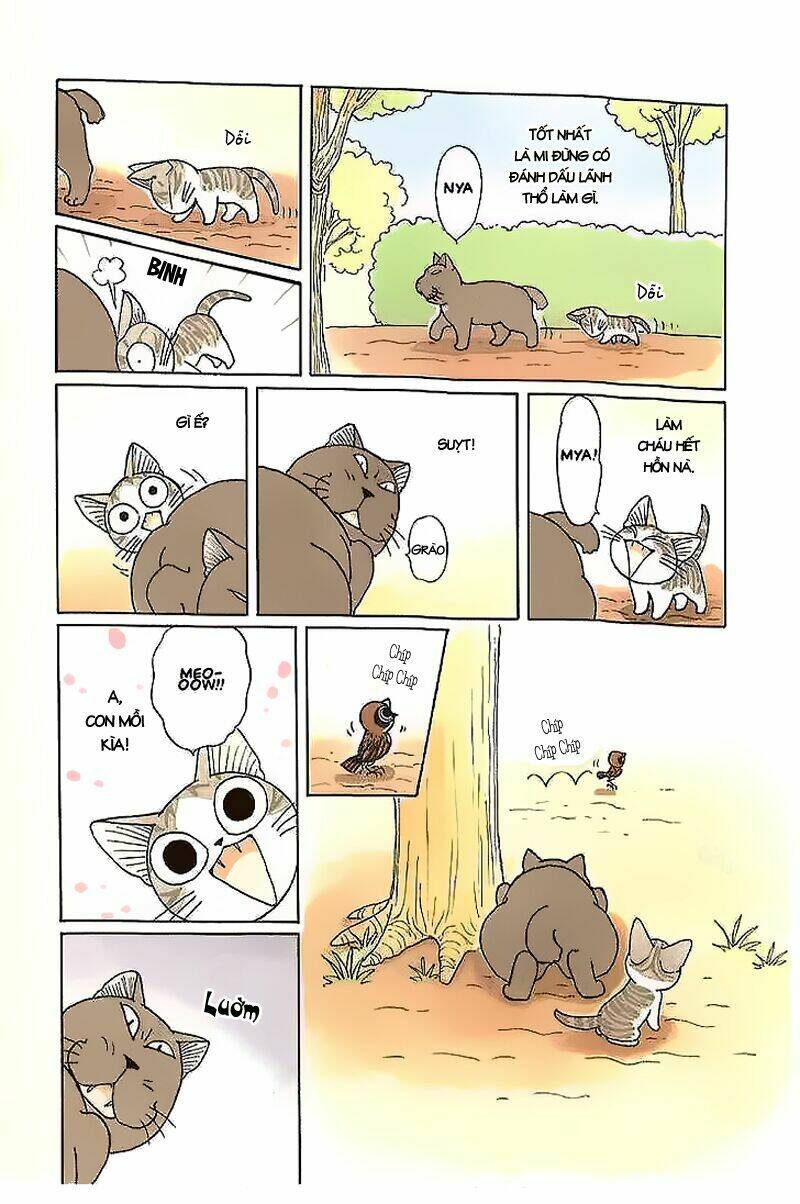 chi's sweet home chapter 39 11