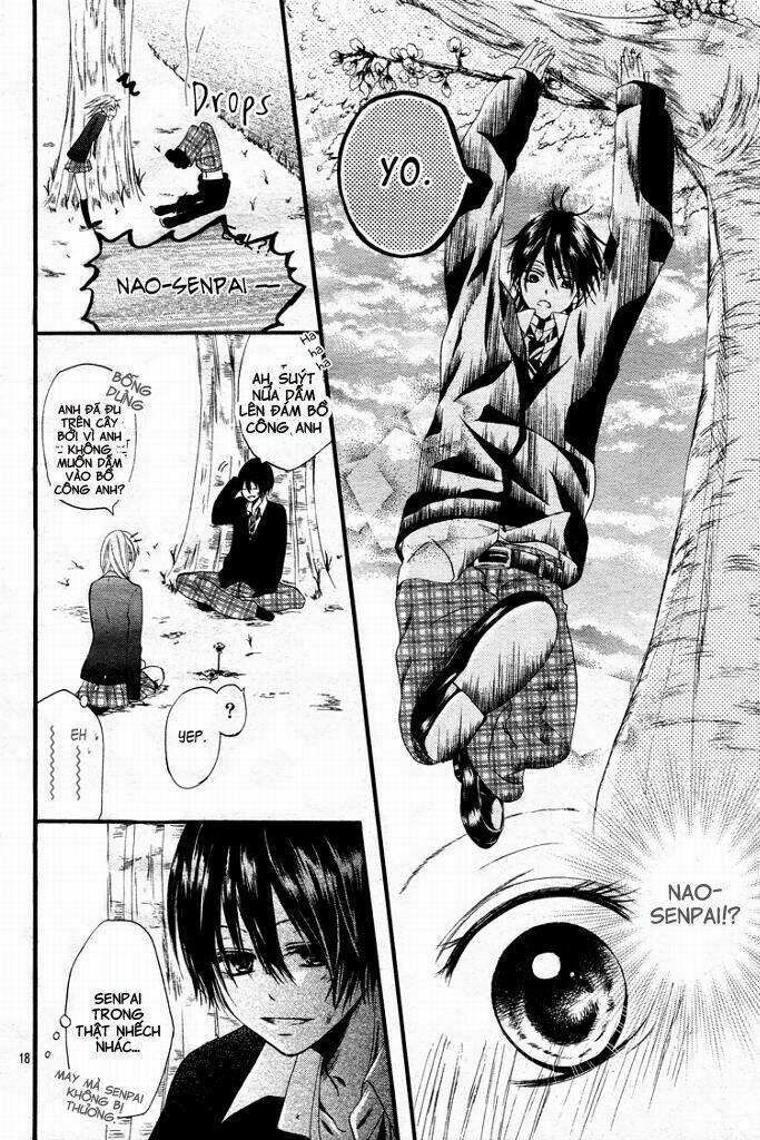 kimi wa maru de, ano hana no you de chapter 1 19