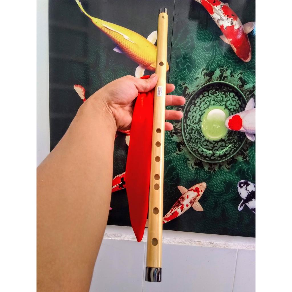 Sáo trúc bọc sừng - Sáo Đô C5 cơ bản HL18