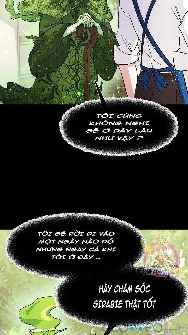 xin chào, tôi là người làm vườn! chapter 8 33