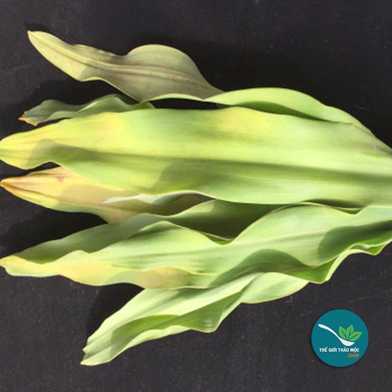Sale Cây Náng Hoa Trắng khô 1KG