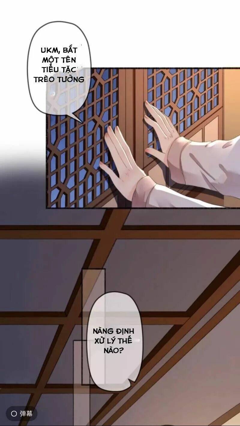 sủng phi của vương chapter 138 14