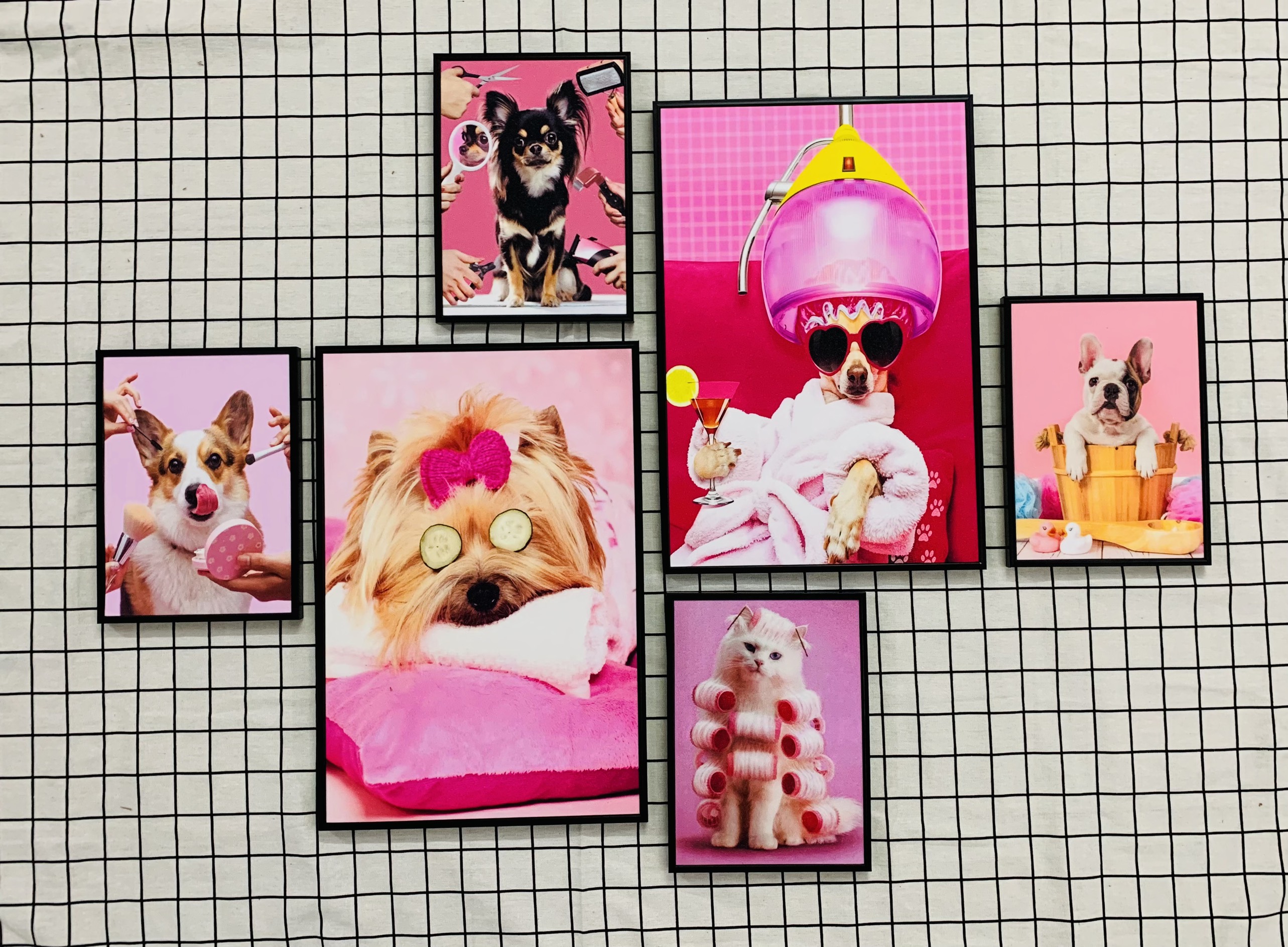 Tranh treo tường thú cưng - tranh treo tường tiệm thú ý-tranh treo tường cho bé THD118 - tặng kèm đinh 3 chân