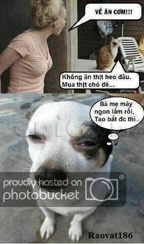 just troll chapter 16 2