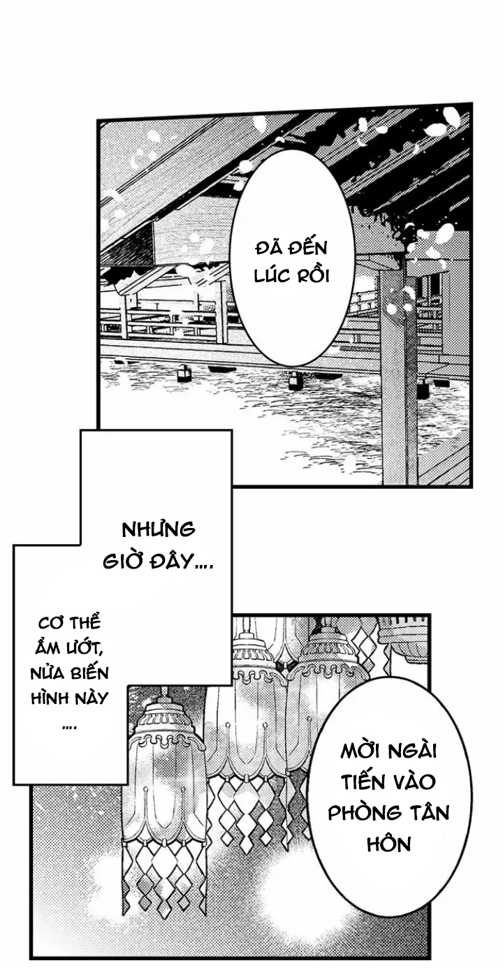 điểu thượng minh hoa chapter 3.1 5