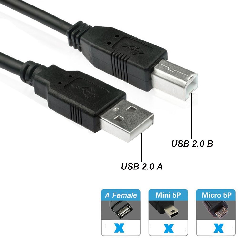 Dây Máy In Cổng USB 3m