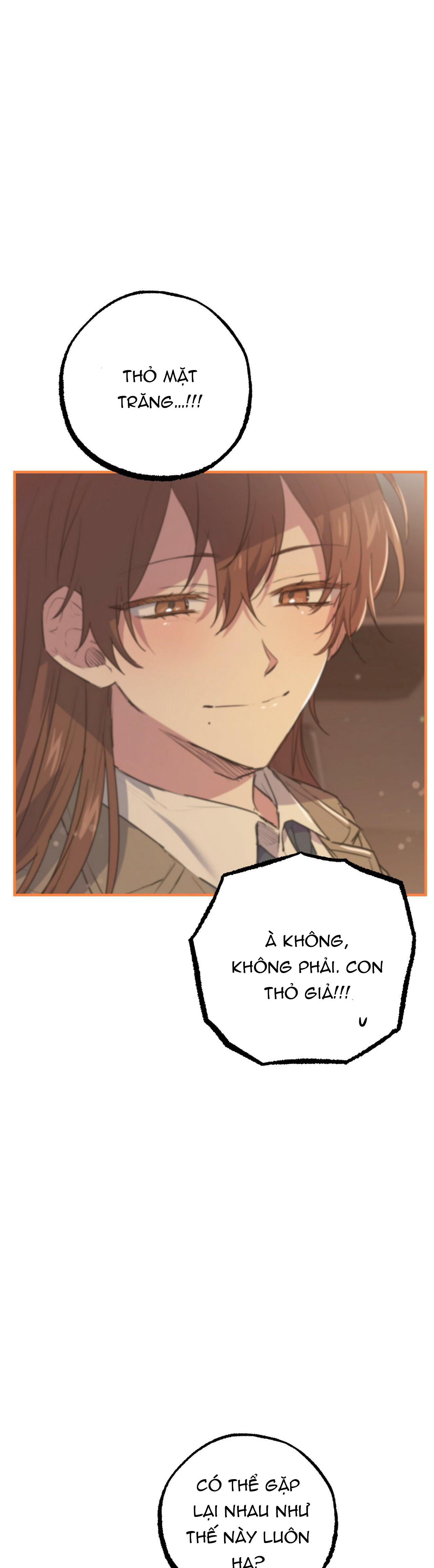 những chú thỏ của hapypy chapter 39 37