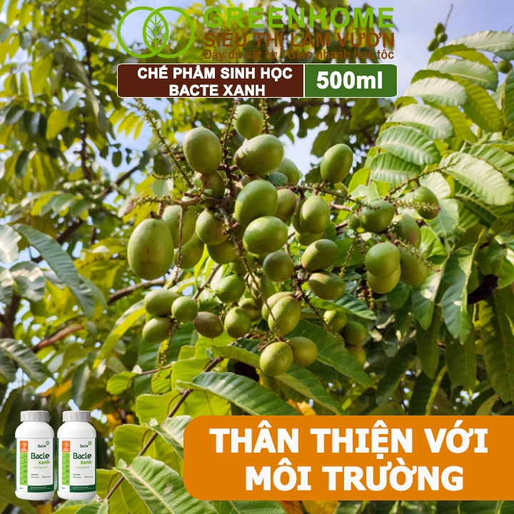 Chế Phẩm Sinh Học Bacte Xanh, Greenhome,Chai 500ml,Ngăn Ngừa Sương Mai, Phấn Trắng,Tốt Cho Cây Trồng