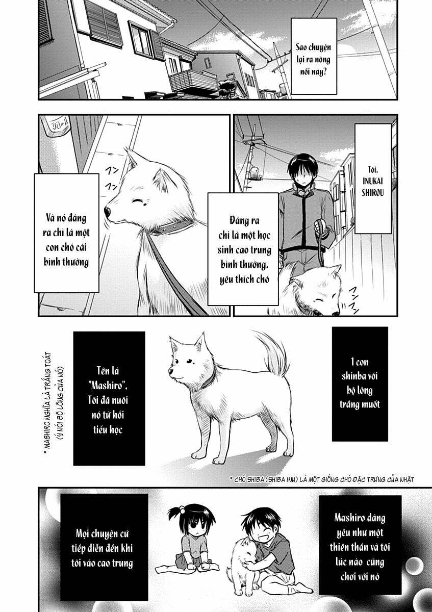 perowan! - hayaku shinasai! goshujin-sama chapter 1 15