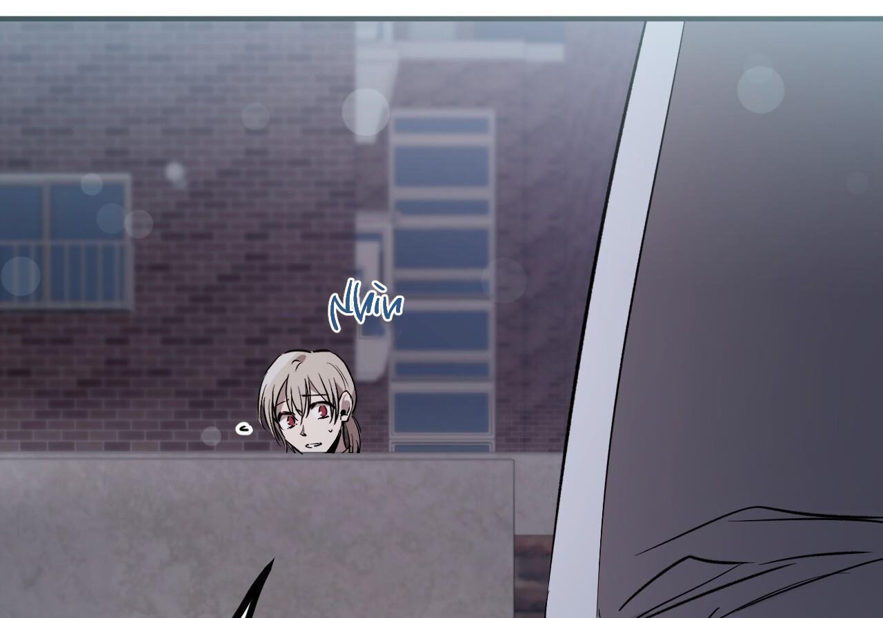 những chú thỏ của hapypy chapter 60 78