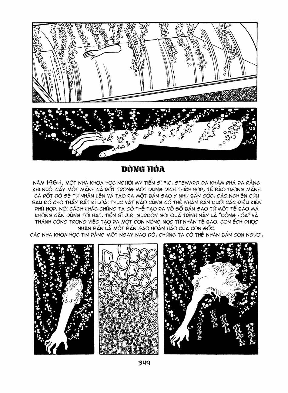 apollo’s song chapter 4.3 6