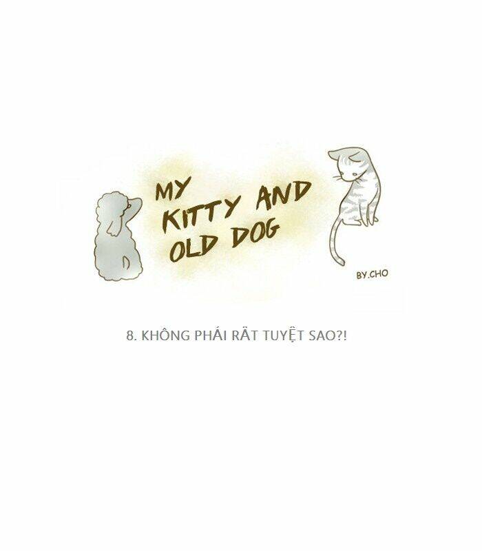 my kitty and old dog chapter 8 1