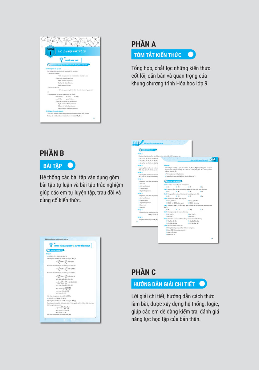 Củng Cố Và Ôn Luyện Hóa Học 9_MEGA