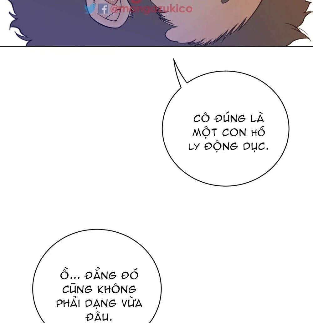 một nửa hoàn hảo chapter 48 56