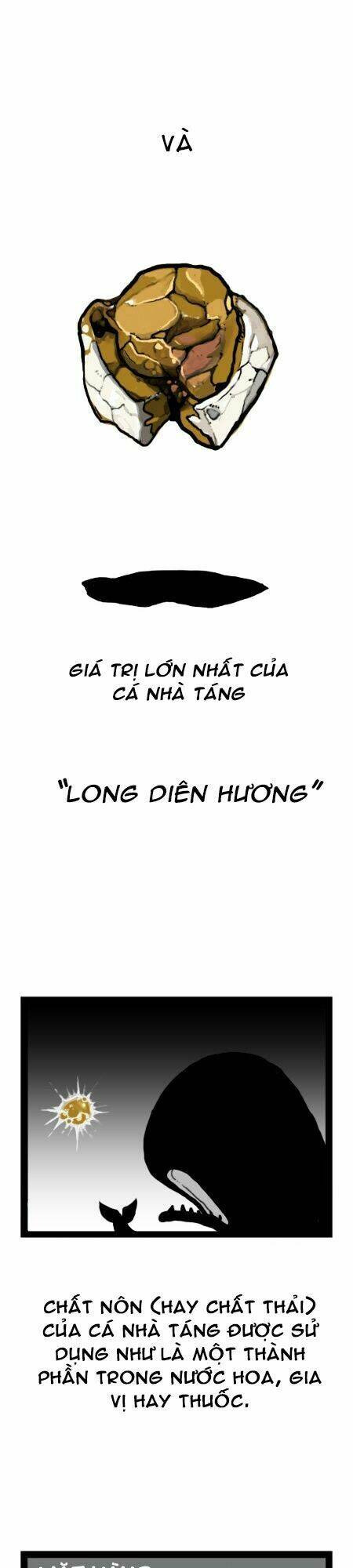 earth, human, and animal chapter 13 21