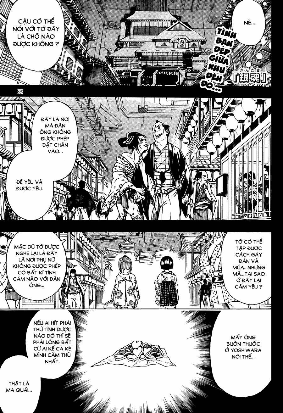 gintama - linh hồn bạc chapter 492 1