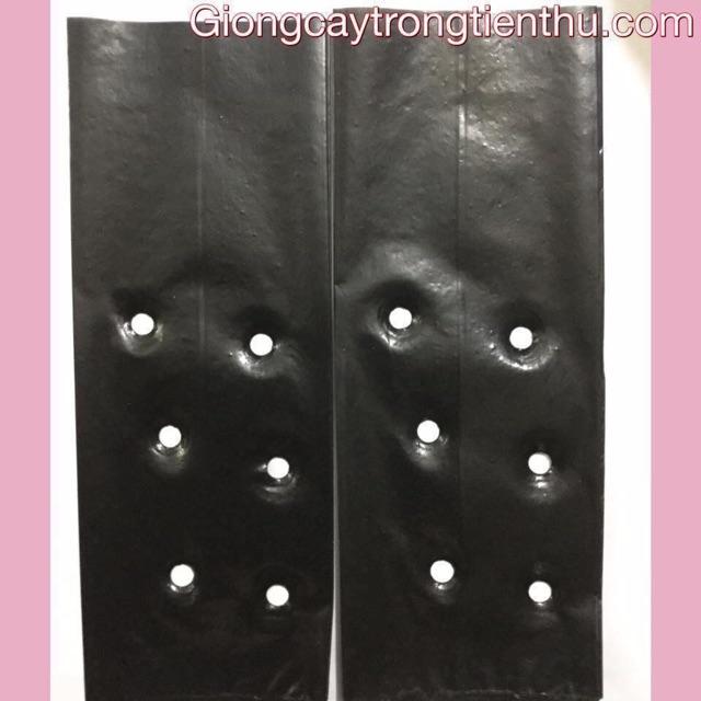 TÚI BẦU ƯƠM CÂY GIỐNG 9cm x 27cm 1kg